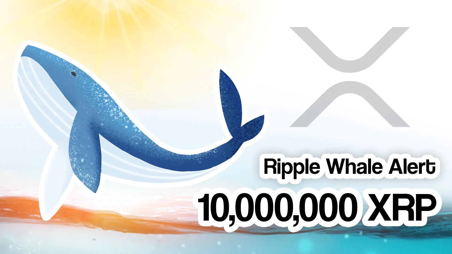 Ripple Whale Takes Action: Withdrawn Ten Millions of XRP!