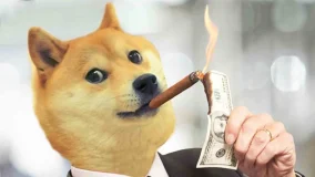 Dogecoin $2.5 Billion Transfer!