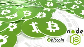 Do Bitcoin nodes make money?