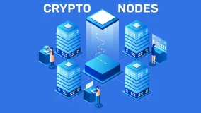 What Is a Crypto Node and Why Is It Important?